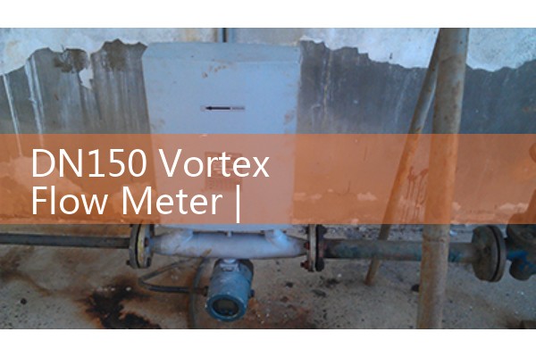 Burkert flowmeter manual